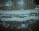 Foto del paso 4 de la receta: Arrollados con estofado