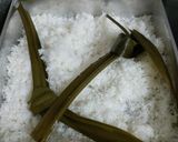 Foto langkah ke 1 dari resep Klepon Pandan Asli.