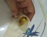 A picture of step 15 of Chana samosa chat shots.