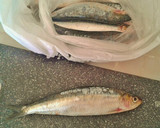 Foto del paso 1 de la receta: Sardinas escabechadas