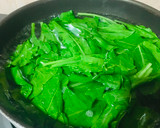 પાલક પરાઠા (Palak Paratha Recipe In Gujarati) રેસીપી સ્ટેપ1ફોટો