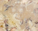 Foto del paso 6 de la receta: Medallones de solomillo de cerdo con setas al wok en salsa de hongos
