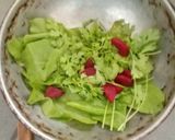 બીટ પાલક નુ શરબત (beetroot spinach juice recipe in Gujarati) રેસીપી સ્ટેપ1ફોટો