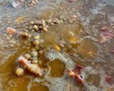 A picture of step 4 of Lentils with chorizo.