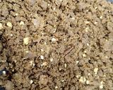 बाजरी बर्फी (Millet Burfi) रेसिपी स्टेप 5 फोटो 