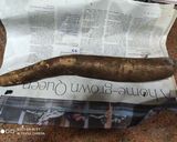A picture of step 1 of Steam tapioca roots.