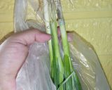Foto langkah ke 2 dari resep Lumpia isi Tahu Kari.