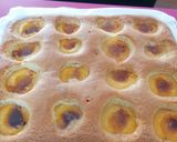 Foto del paso 7 de la receta: Coca tovada de albaricoques (mallorquina)