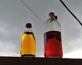 Foto langkah ke 5 dari resep Sun Tea.