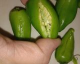 A picture of step 1 of Fried chillos 🌶🌶.