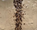A picture of step 10 of Coffee Oreolicious.