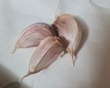 Foto del paso 5 de la receta: 87. Espirales con Setas