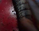 A picture of step 3 of Grille Titus fish.