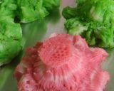 Foto langkah ke 7 dari resep Bikang mawar.
