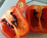 Foto del paso 1 de la receta: Ocopa con salsa de Rocoto a lo Carmelita