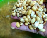 Foto langkah ke 1 dari resep Susu kedelai.