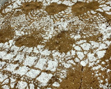 Foto del paso 8 de la receta: Coca con turrón de almendra