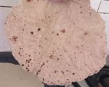 A picture of step 8 of Jowar Roti /Bhakri.