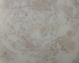 A picture of step 4 of Tapioca Dragon Fruit Pink Dessert.