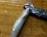 Foto del paso 6 de la receta: Técnicas de cocina: Limpiar el pescado