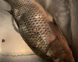 Foto del paso 2 de la receta: Mi receta de carpa a la parrilla, y para otros peces de río