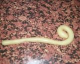 Foto del paso 5 de la receta: Mazapán de Toledo (Dulces de Navidad-1)