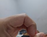 Foto langkah ke 3 dari resep Siomay Ayam.