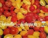 Foto del passaggio 3 della ricetta Farfalle con crema di Datterini gialli e rossi km zero mandorle e burrata 👩‍🍳🏡🦁🇮🇹