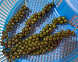 Hình bước làm 1 của món Nấm rơm kho tiêu xanh chay