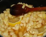 Hagymában sült csirke almaszósszal recept fázis 4 fotója