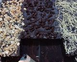 Foto langkah ke 5 dari resep Brownies panggang.