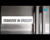 A picture of step 7 of Eggless Vanila Ice Cream Recipe Without ice cream maker.