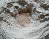 Foto del paso 2 de la receta: Pan rústico natural (baguette)