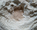 Foto del paso 2 de la receta: Pan rústico natural (baguette)