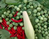 Foto langkah ke 1 dari resep Gule Daun Ubi Tumbuk (Daun Singkong).