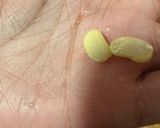 A picture of step 5 of Stinky tofu… but start from soybeans.