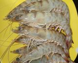 Foto del paso 2 de la receta: Arroz con gambas rojas de Sant Carlos de la Rápita