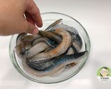 氣炸虱目魚背～氣炸鍋料理的食譜步驟2照片