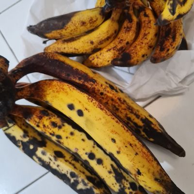 Langkah 2