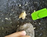 Foto langkah ke 1 dari resep Cireng Nasi bumbu rujak.