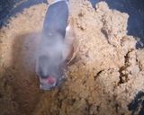 A picture of step 7 of Dum ka keema.