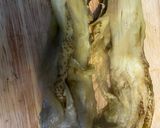 A picture of step 5 of Aubergine tahini dip - Moutabal or baba ghannouj.