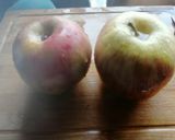 Foto del paso 2 de la receta: Pechuga de pavo frutal