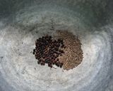 A picture of step 3 of Anjaneyar Temple milagu (black pepper) pongal.