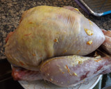 Foto del paso 1 de la receta: Pavita asada al aroma de clementina y romero
