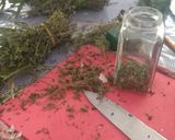 Foto del paso 1 de la receta: Salsa chimichurri