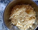 A picture of step 2 of Sindhi kadhi with rice.