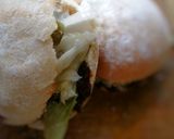 Foto del paso 4 de la receta: Pambazo veracruzano