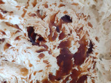 Pastisetas
