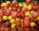 Une image de l'étape 7 de Ketchup betteraves facon djamicoo 🍅.